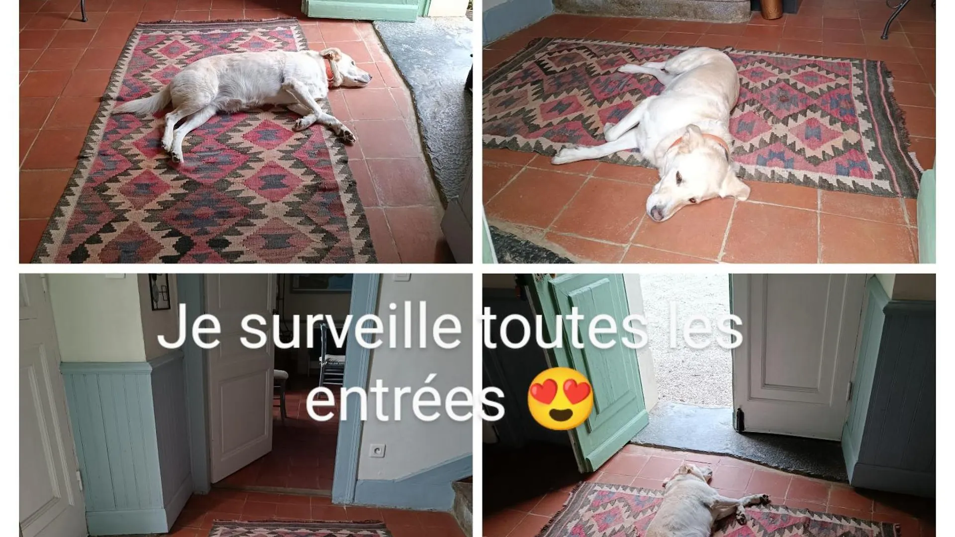 Baladous Bed & Breakfast Montgaillard-de-Salies